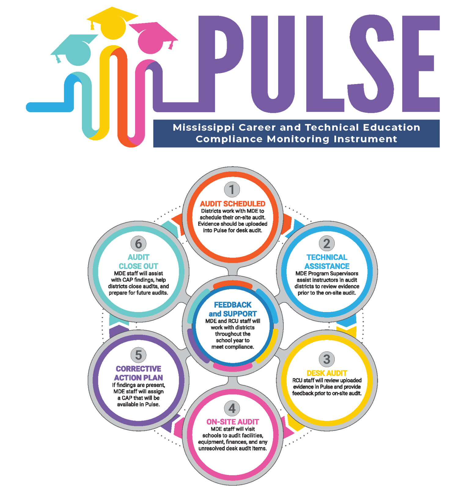 Pulse CMI Audit Cycle Diagram Flow Chart